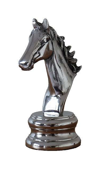 Tete de cheval